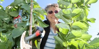 Helen Lynch is hosting a community lunch at the Brook Community Gardens this Saturday in an effort to get more families involved in gardening this spring. Photo: Andrew Board.