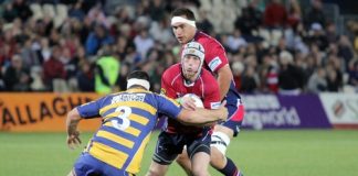Tasman Makos beat BOP Steamers