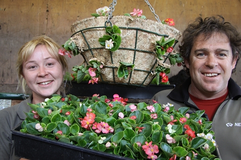 hangingbasket 026 Alice Buschl and Mike Gafa, from the Nelmac Nursery team with some of the flowers that will be going up in the Nelson CBD this week. Photo: Sinead Ogilive.