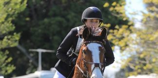 Angela Cotton of Stoke riding My Abracadabra in the 110cm speed class at Marchwood Park on Sunday. Photo: Phillip Rollo.