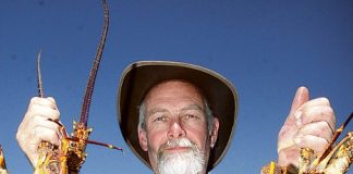 Keith Baker of Nelson with his 3.7 and 3.9kg crayfish caught off the BoulderBank for the Motueka RSA McCashin's Fishing competition held over the weekend. Photo: Sinead Ogilvie.