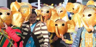 Students from Victory Primary School during last year’s Masked Parade in Nelson. The parade will see hundreds of local students, performers and groups take to the streets this Friday night. Photo: Andrew Board.