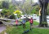 A branch that came down on a Seymour Ave footpath happened just moments before children walking home from school came across it.