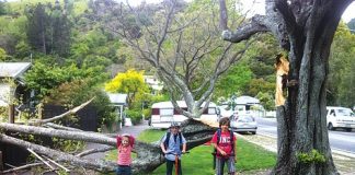 A branch that came down on a Seymour Ave footpath happened just moments before children walking home from school came across it.