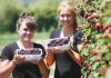 Fresh berries at their best for summer Students Adele Walker, left, and Sonja Walsh with some boysenberries they picked working at Berrylands on the Appleby Highway last week. Photo: Simon Bloomberg.