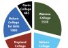 Nelson grows, schools bigger