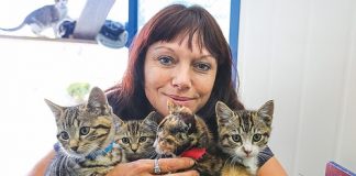 Nelson SPCA feline assistant Carmin Torrance with some of the kittens that are up for adoption. Photo: Phillip Rollo.