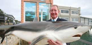 Nelson MP Nick Smith with a thresher shark from the collection of preserved marine life that will be on display in the proposed fishing and marine museum in the Plant and Food building on Rocks Rd. Photo: Simon Bloomberg.