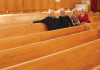 Members of the Stoke Methodist Church with the 20 pews that are up for sale. They are, from left, Keith Drogemuller, Gary Clover, Jan Thompson and Val Knight. Photo: Andrew Board.