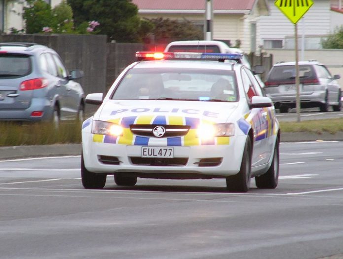 Police Car