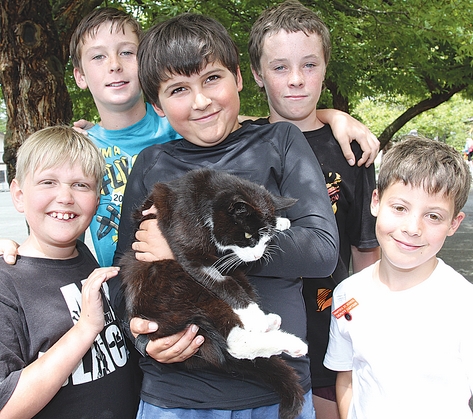 cat (7) Hampden St School students with Socks the cat at the school last week. They students are from left; Jakob Fletcher, Jack Burrows, Rhys Sharland, Reegan Lawton and William Daniell. Photo: Andrew Board.