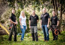 Nelson Tree Specialists