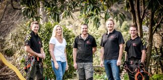Nelson Tree Specialists