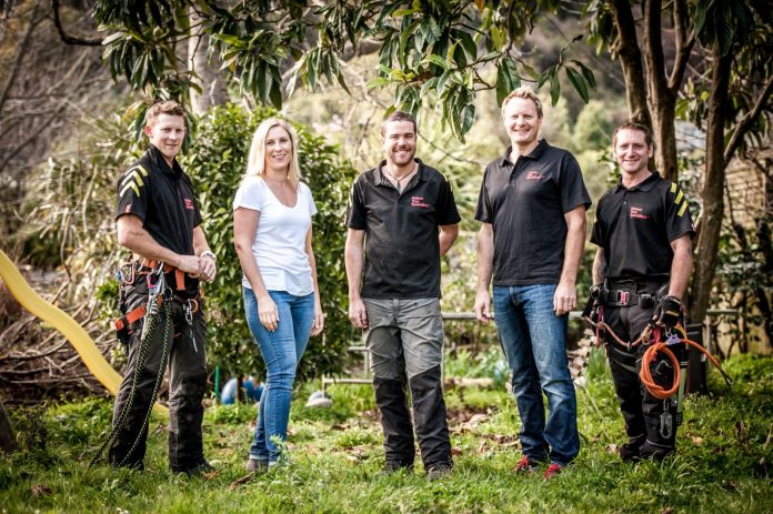 Nelson Tree Specialists