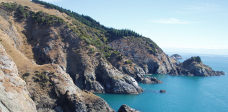 Nelson environment to receive funding lift