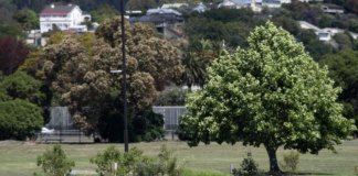 New playground for Rutherford Park