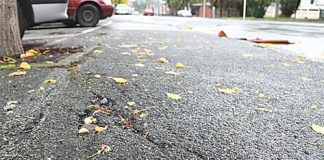 A cracked and raised footpath on Selwyn Place in central Nelson.