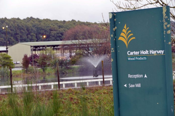 eves valley saw mill carter holt harvey