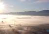 Video: Nelson fogged out this morning