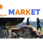 Market