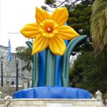 daffodill day 2016 aflex daffodil cathedral steps