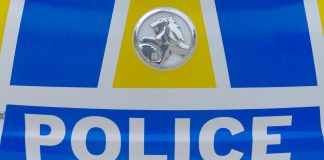 Man charged with fleeing police