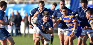 The loose forwards look to be an area of strenth for the Nelson rugby team in 2017. Photo: Barry Whitnall/Shuttersport.