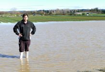 Rain comes down, vege prices go up