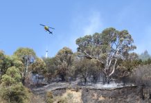 ‘It felt like Nelson was under attack’