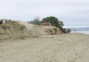 Council defends beach bin ban