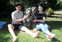 Neglected Nora finds a loving home