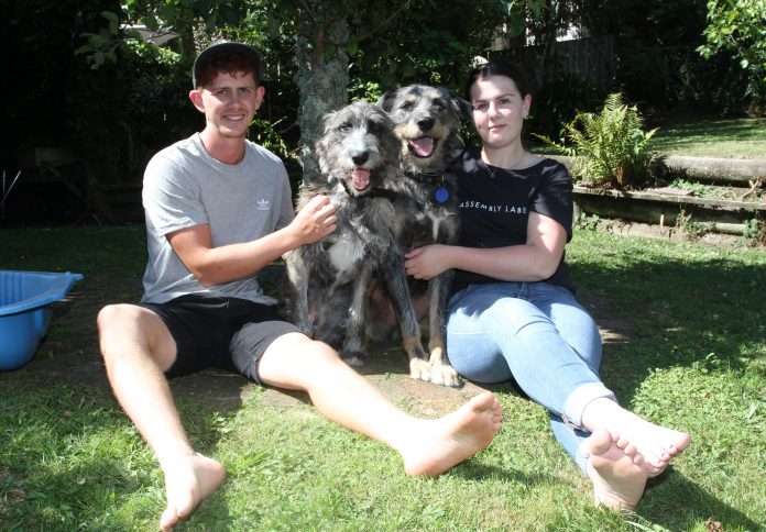 Joel Emery-Jones, Nora, Jamu and Jordan Irvine together at their Inner Glen home.
